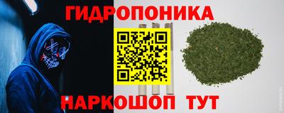 spice Мариинск