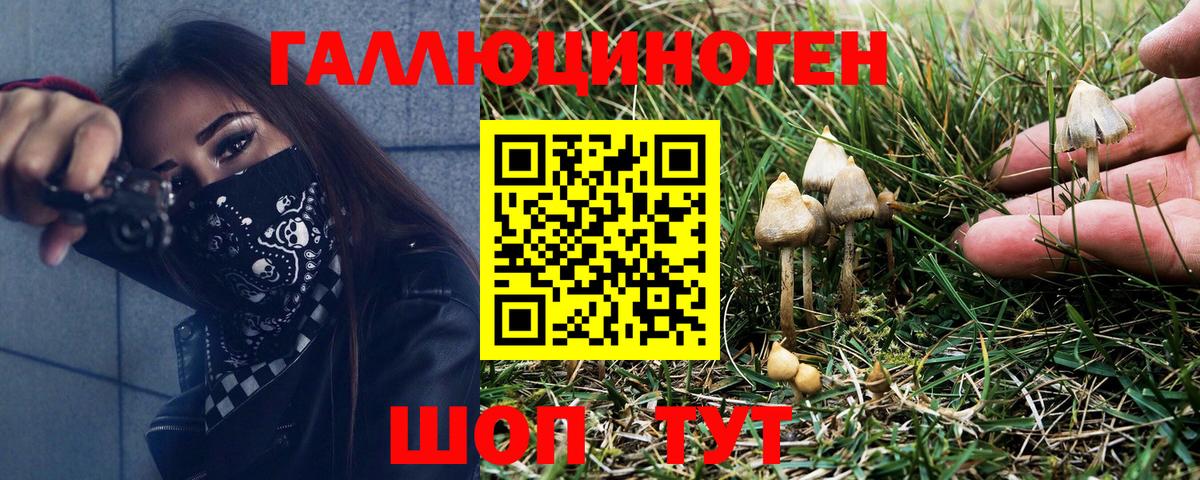 Галлюциногенные грибы мицелий Ефремов