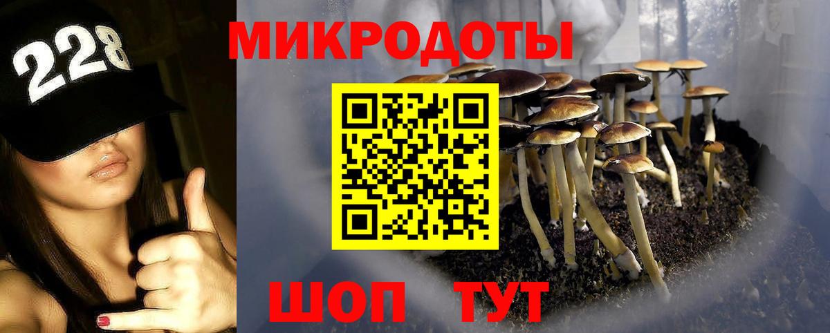 Ефремов  Галлюциногенные грибы ЛСД  Вход с VPN 